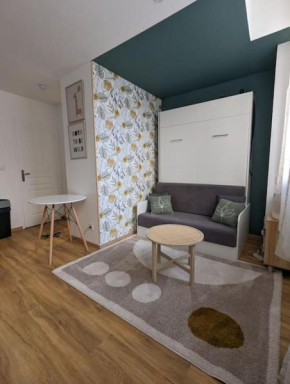 Le Green Moderne centre ville parking gratuit